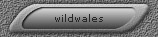 wildwales
